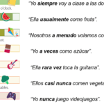 Adverbios de frecuencia en inglés: uso y significado