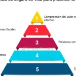 Descubre el valor en efectivo de una póliza de seguro de vida