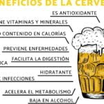 Descubre las características esenciales de una buena cerveza