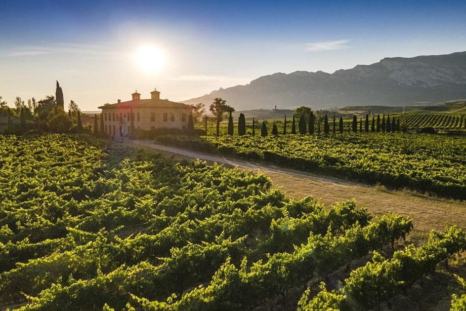 Domina la agricultura orgánica en tu videojuego favorito con nuestras guías expertas - Mercadillo5