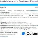 Experiencia laboral requerida: ¿Trabajaste en un puesto similar?