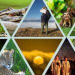 Importancia de los parques y reservas en la conservación de reptiles