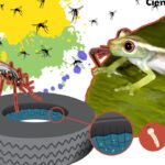 Importancia ecológica de los mosquitos en los ecosistemas