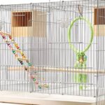 Jaulas y perchas para aves domésticas en nuestra tienda de mascotas