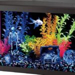 Kit para acuario de peces tropicales: todo lo que necesitas