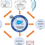 La guía definitiva para la transformación digital en medianas empresas