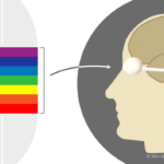 La influencia de la luz en la percepción de los objetos