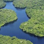 La Selva Amazónica: La Maravilla Natural más Grande de América del Sur