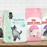 Las mejores marcas de comida para gatos recomendadas para tus mascotas