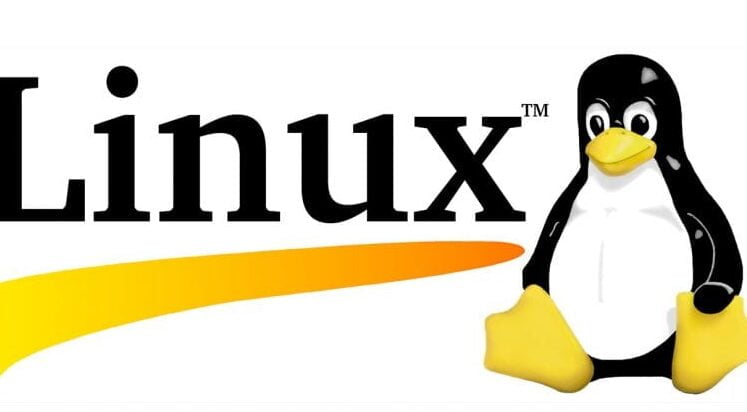 Maximiza tu productividad con GNU Linux, el sistema operativo perfecto - Mercadillo5 Maximiza tu productividad con GNU Linux, el sistema operativo perfecto - Mercadillo5
