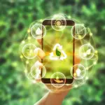 Optimiza tu comunicación para ganancias sostenibles