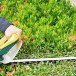 Podadoras de setos: herramientas esenciales para un jardín impecable