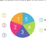 Recursos y apoyo para una transición exitosa: Descubre opciones