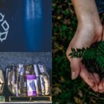 Transforma residuos en tesoros: Dale nueva vida a desechos