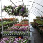 Vender productos de jardinería en Facebook